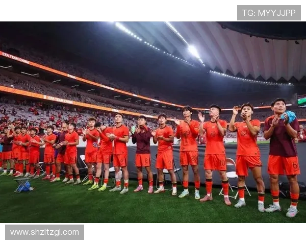 国家队关键战逆转取胜新星爆发点燃球迷激情赛季前景引发热议全国关注