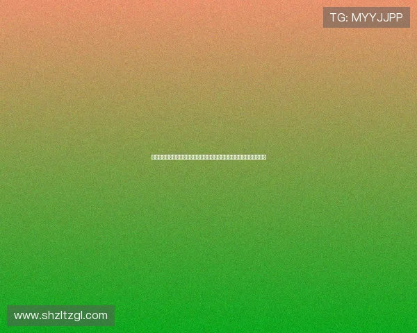 海登海姆俱乐部新赛季备战动态与阵容调整全面解析以及未来目标规划展望